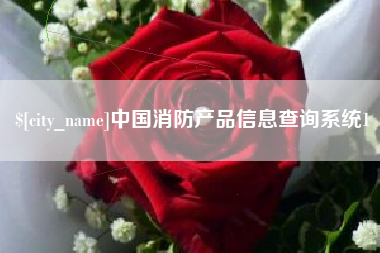 汉川中国消防产品信息查询系统1