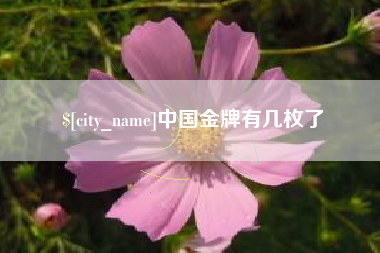 汉川中国金牌有几枚了