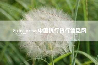 汉川中国执行执行信息网