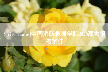 汉川中国消防救援学院2020高考报考条件