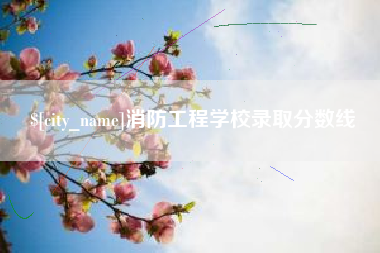 汉川消防工程学校录取分数线