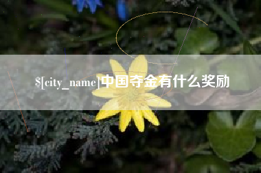 汉川中国夺金有什么奖励