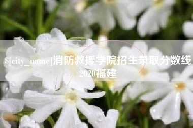 汉川消防救援学院招生录取分数线2020福建