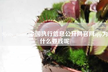 汉川中国执行信息公开网官网app为什么要钱呢