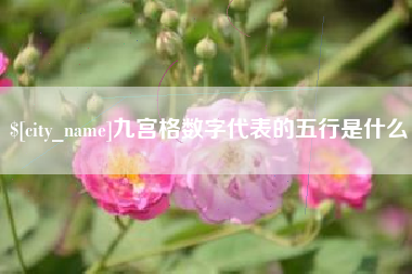 汉川九宫格数字代表的五行是什么
