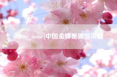 汉川中国金牌是哪些项目