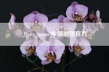 汉川中国消防官方