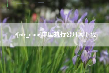 汉川中国执行公开网下载