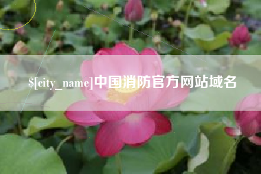 汉川中国消防官方网站域名