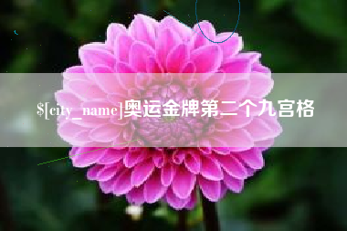 汉川奥运金牌第二个九宫格