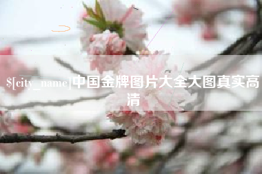 汉川中国金牌图片大全大图真实高清