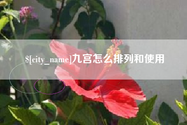 汉川九宫怎么排列和使用