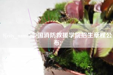 汉川中国消防救援学院招生章程公布!