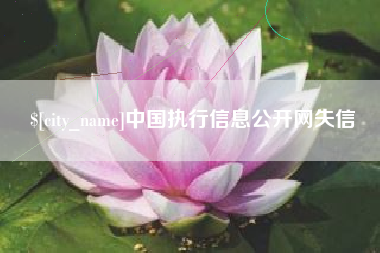 汉川中国执行信息公开网失信