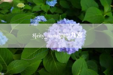 汉川2022九宫