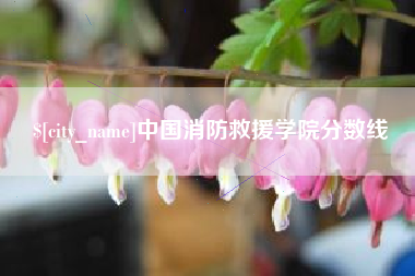 汉川中国消防救援学院分数线