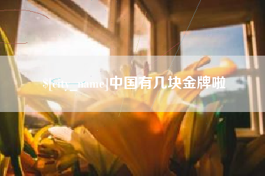 汉川中国有几块金牌啦