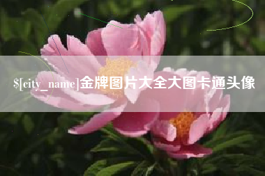 汉川金牌图片大全大图卡通头像