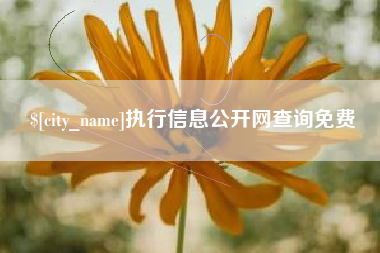 汉川执行信息公开网查询免费