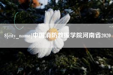 汉川中国消防救援学院河南省2020