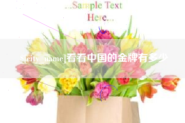 汉川看看中国的金牌有多少
